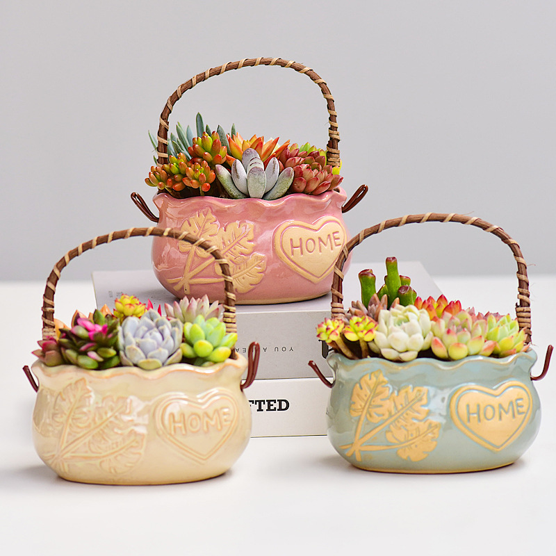 Snake Plant Ceramic - Nordic Style Ceramic Basket Succulent Pot,