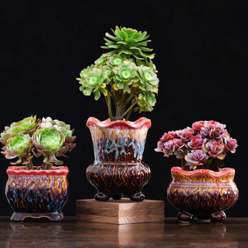 Creative Glazed Flowerpot Succ - Snake Plant Ceramic review and price