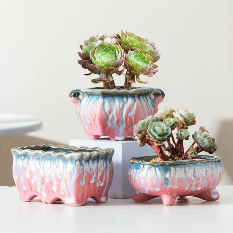 Creative Glazed Flowerpot Succ - Snake Plant Ceramic review and price