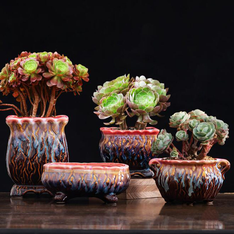 Creative Glazed Flowerpot Succ - Snake Plant Ceramic review and price