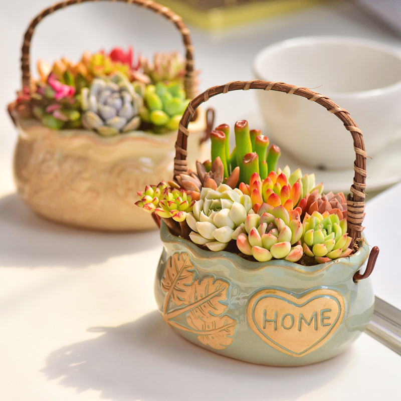 Nordic Style Ceramic Basket Su - Snake Plant Ceramic review and price