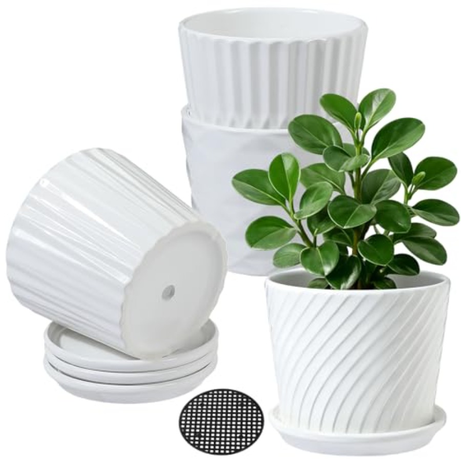 Plant Pots - Cylinder Ceramic  - Snake Plant Ceramic review and price