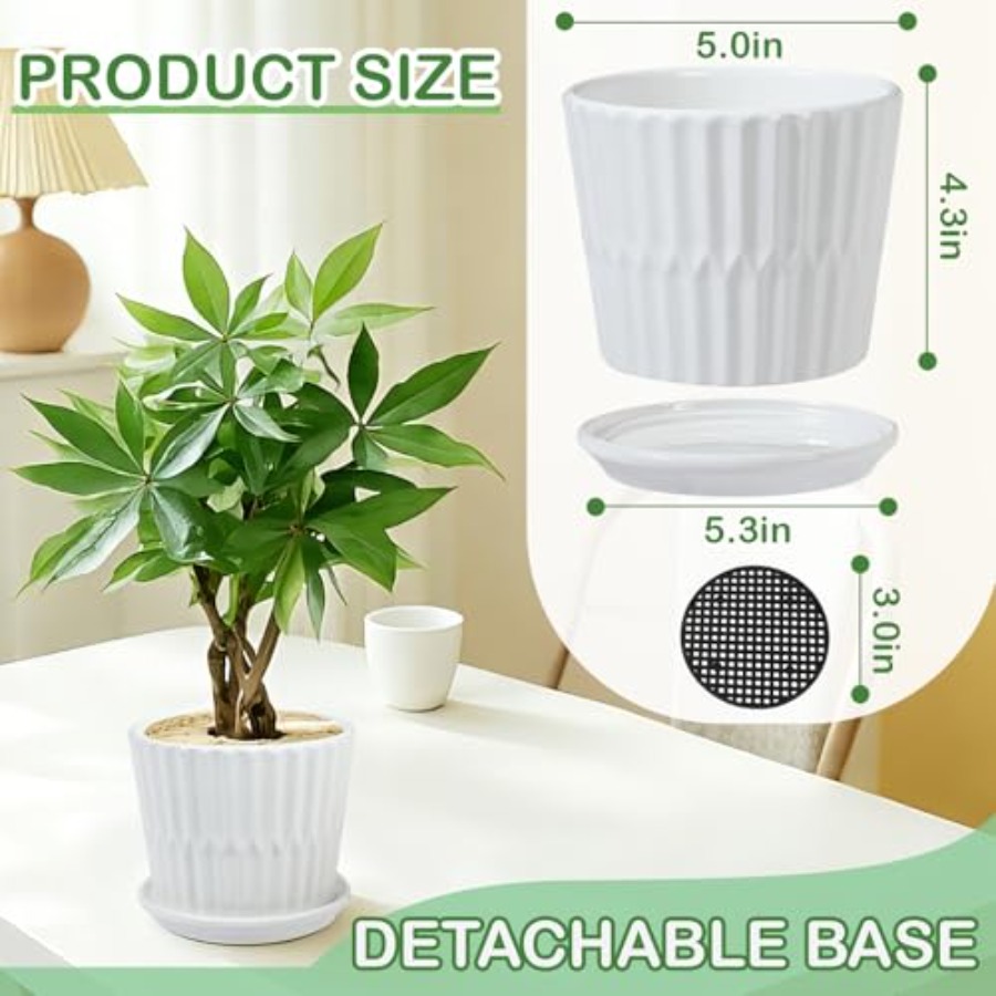 Plant Pots - Cylinder Ceramic  - Snake Plant Ceramic review and price