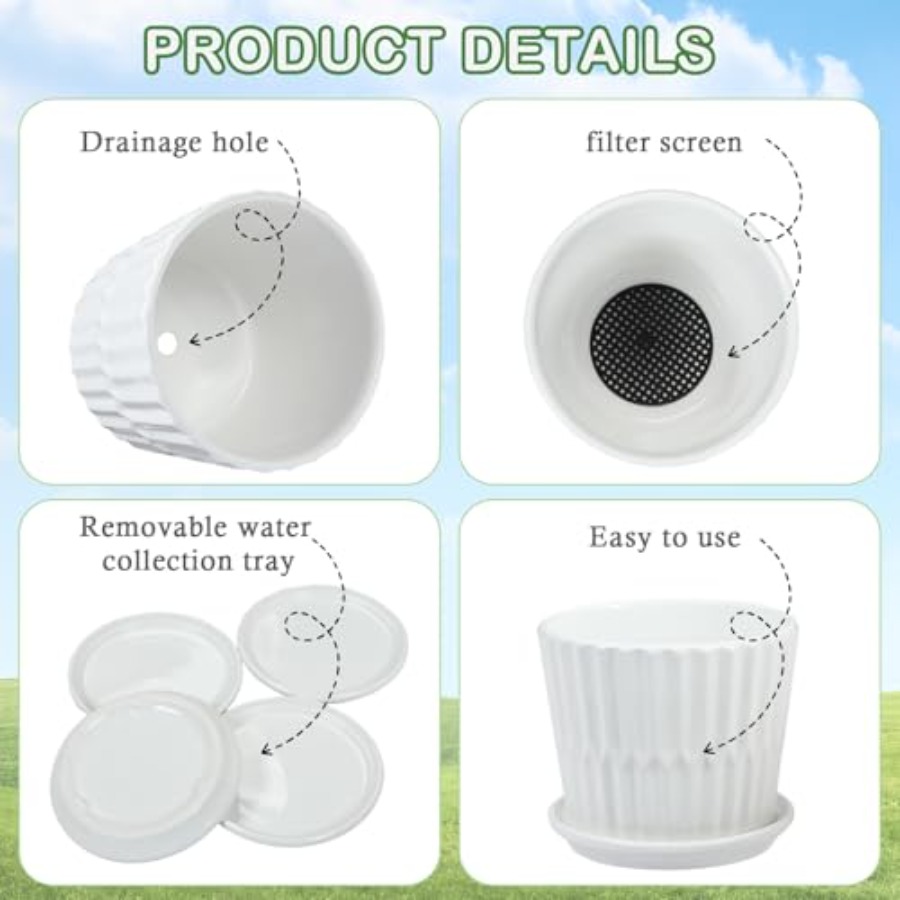 Plant Pots - Cylinder Ceramic  - Snake Plant Ceramic review and price