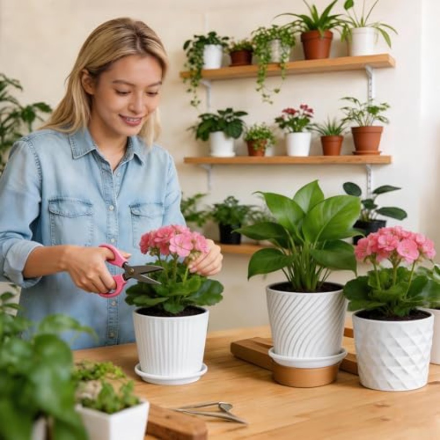Plant Pots - Cylinder Ceramic  - Snake Plant Ceramic review and price