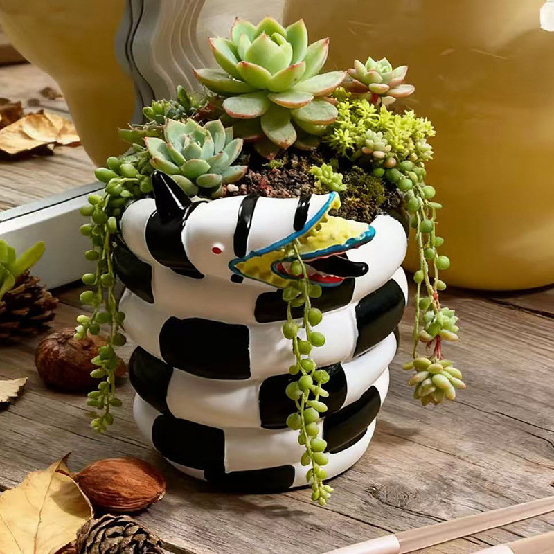 1 Piece Black and White Snake- - Snake Plant Ceramic review and price