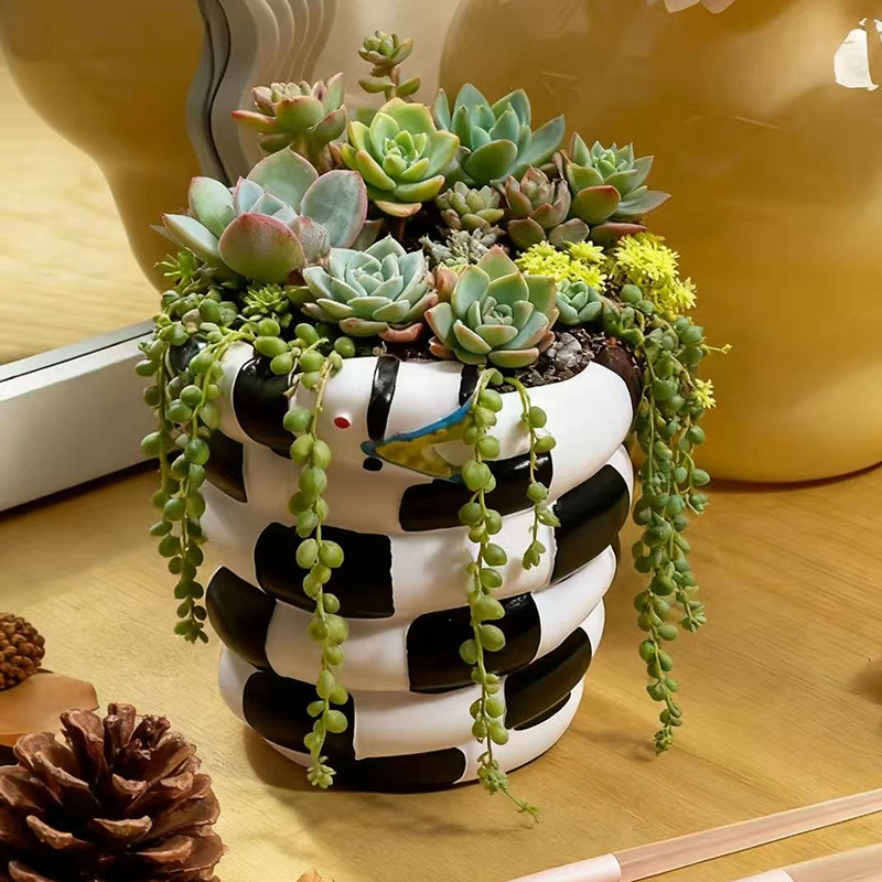1 Piece Black and White Snake- - Snake Plant Ceramic review and price