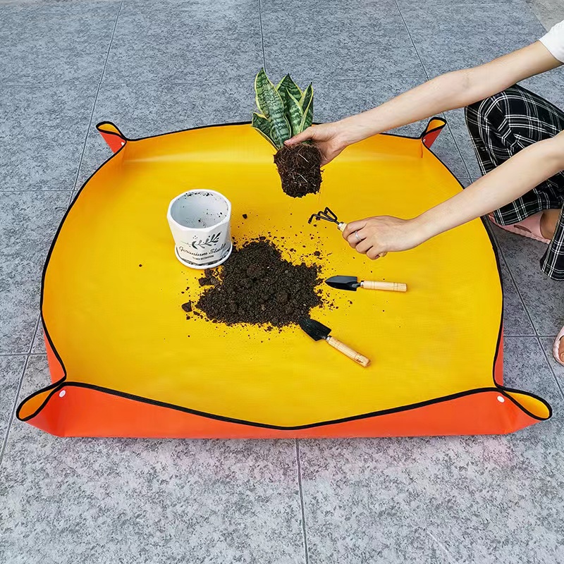 Thickened Waterproof Mats Gard - Snake Plant Ceramic review and price