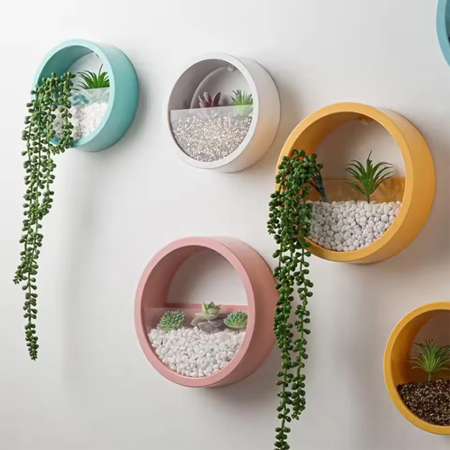 Round Wall Mount Planter Pot 3 - Snake Plant Ceramic review and price