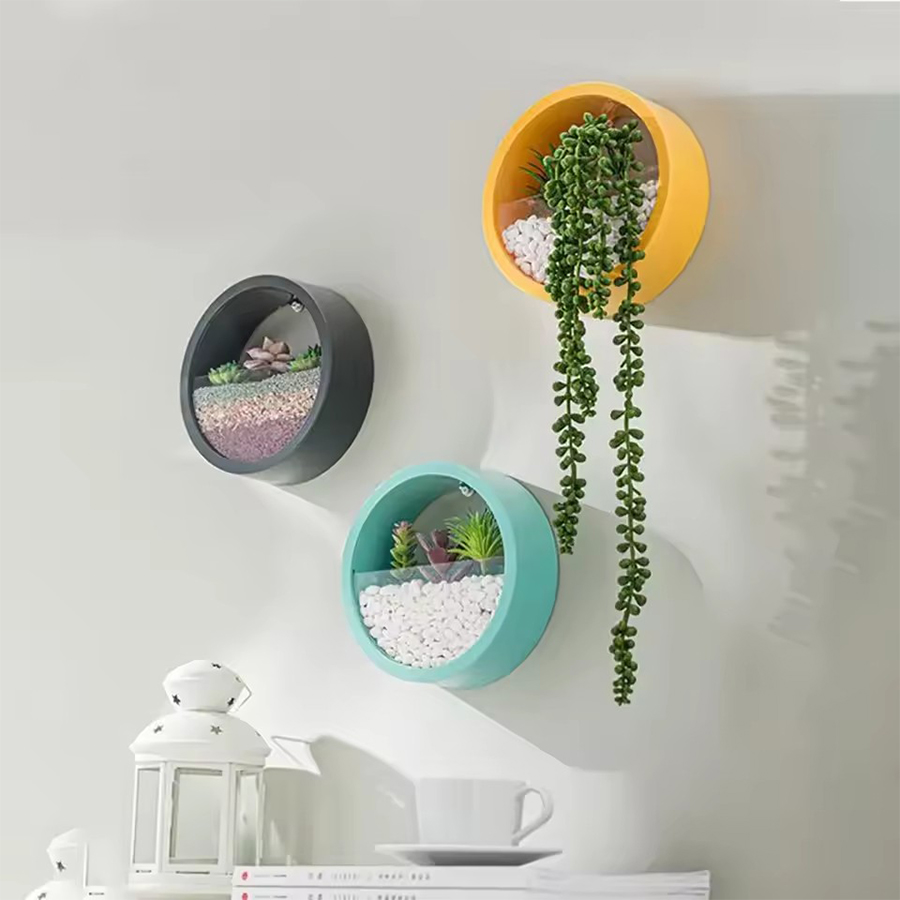 Round Wall Mount Planter Pot 3 - Snake Plant Ceramic review and price