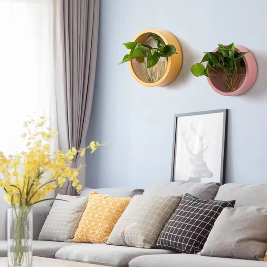 Round Wall Mount Planter Pot 3 - Snake Plant Ceramic review and price
