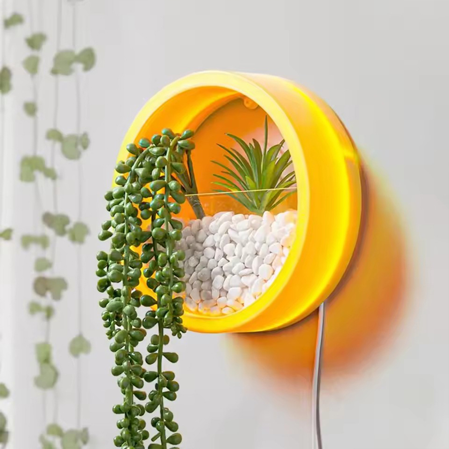 Round Wall Mount Planter Pot 3 - Snake Plant Ceramic review and price
