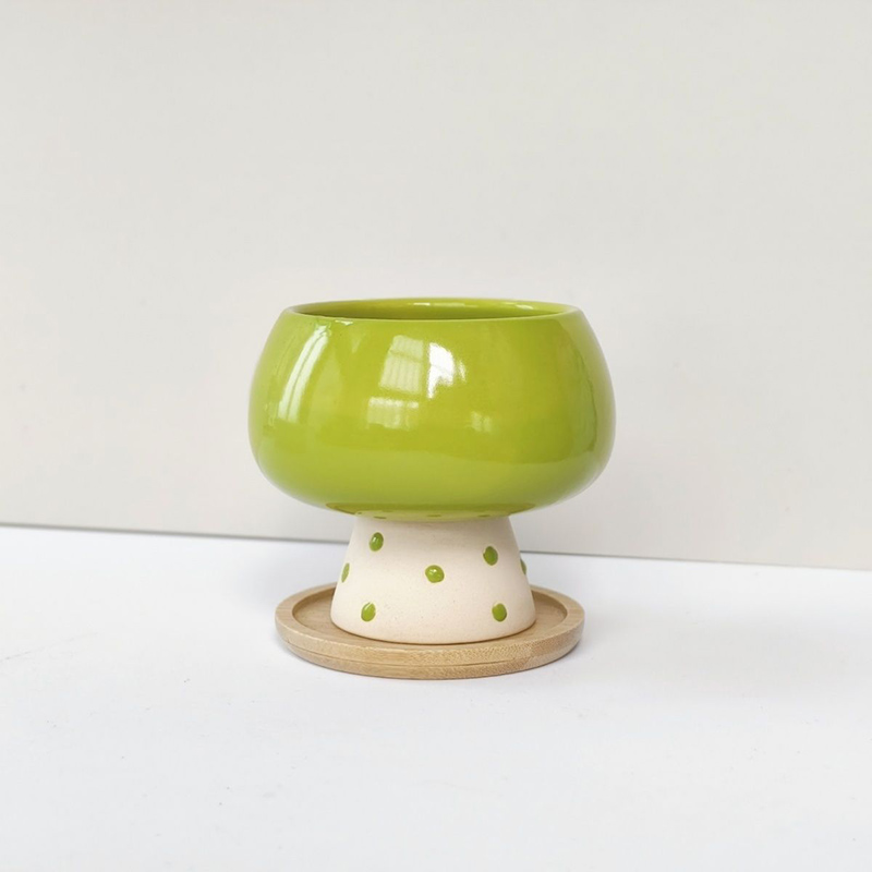 Stylish Minimalist Ceramic Flo - Snake Plant Ceramic review and price