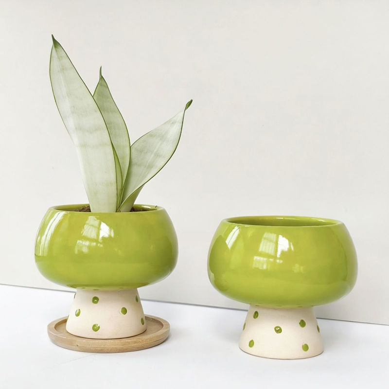 Stylish Minimalist Ceramic Flo - Snake Plant Ceramic review and price