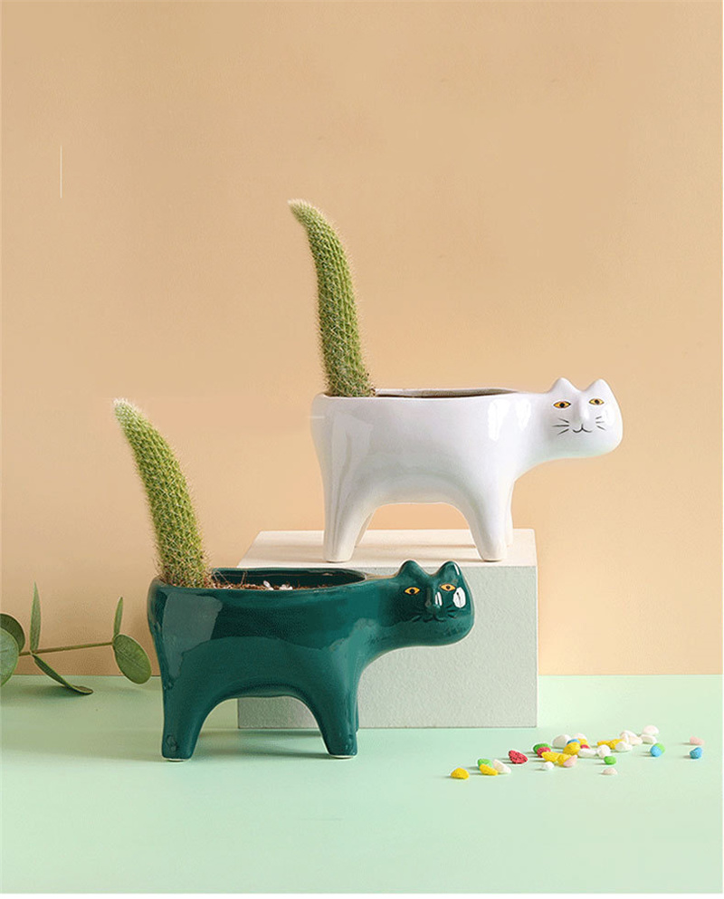 Cute Cat Ceramic Garden Flower - Snake Plant Ceramic review and price