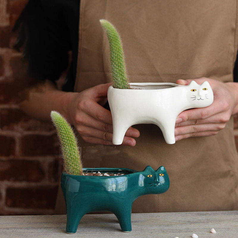 Cute Cat Ceramic Garden Flower - Snake Plant Ceramic review and price