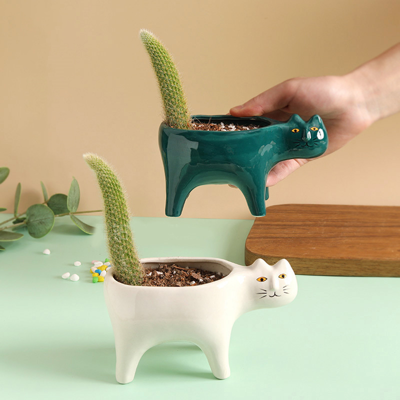 Cute Cat Ceramic Garden Flower - Snake Plant Ceramic review and price