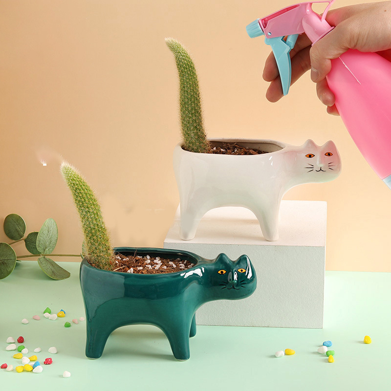 Cute Cat Ceramic Garden Flower - Snake Plant Ceramic review and price